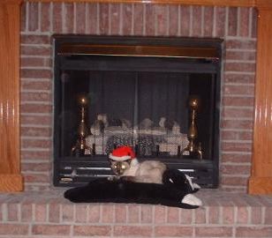 (picture of Mandy in front of fire)